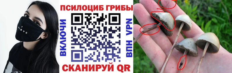 Псилоцибиновые грибы GOLDEN TEACHER гидра tor Волоколамск